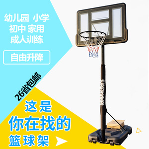 青少年室内户外成人家用训练篮框可升降移动儿童篮筐幼儿园篮球架