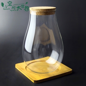 苔藓制作容器 DIY玻璃瓶 微景观生态瓶 水滴花瓶 木塞植物专用