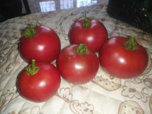 猫姐的宝贝系列—01全红草莓番茄 满39包邮 巨好吃的品种进店必买