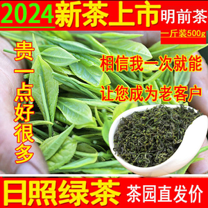 春茶2024年新茶日照绿茶叶500g特级板栗豆香散装手工炒青浓香型