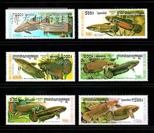柬埔寨2000年 热带鱼类 观赏鱼 斗鱼 邮票6全新 正品 165