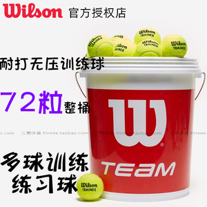 Wilson维尔胜Team Trainer比赛专业训练网球无压球发球机用球1312