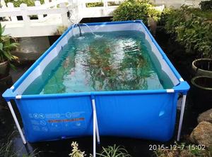 帆布鱼池大型过滤加厚暂养池锦鲤移动水池金鱼培养池折叠水族箱缸
