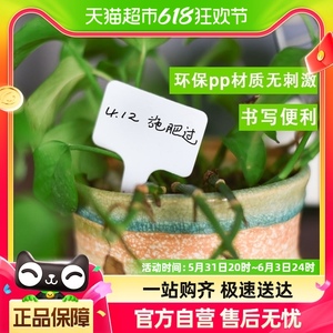 【单品包邮】深邦花盆花卉多肉标签牌绿萝植物花名T型塑料防水牌