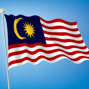 马来西亚·EVISA·移民局网站·电子签证半年多次商务签