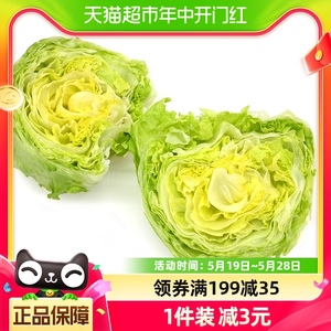绿行者球生菜沙拉2kg（2-4颗）健康轻食新鲜蔬菜