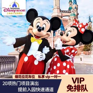 上海迪士尼快速通行VIP免排队通道FP尊享卡门票早享卡如需拍订制