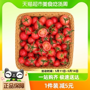 鲜馥樱桃小番茄红色小柿子3斤装