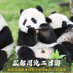 成都2日游可选小团 熊猫三星堆都江堰青城山乐山大佛四川跟团旅游