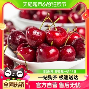 【预售】山东樱桃酸甜樱桃国产车厘子4.5斤时令应季新鲜水果包邮