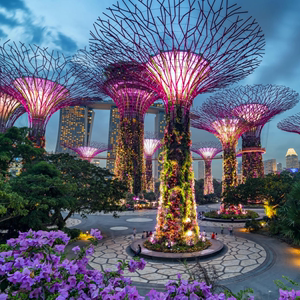 新加坡飞行者摩天轮(大门票)+滨海湾花园(双馆门票) 套票