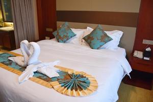 山东信豪鸿腾国际大酒店豪华大床房-品质床垫