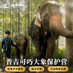 松果旅行泰国普吉岛一日游清迈可巧大象保护营生态营泥浴spa喂象