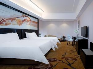 维也纳国际酒店（深圳坪山兰竹东路东城大厦店）标准双床房