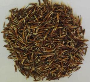 欢喜地 血钻阿拉伯野燕麦红麦正品 纯正真货食物补充200克