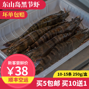 黑虎虾 8-15只 250g 东山岛海鲜 活冻黑斑节虾 鲜活大老虎虾