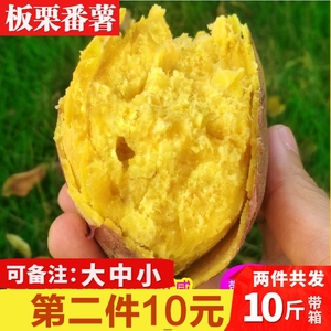 5斤装包邮新鲜爆皮王特产红薯 板栗黄肉香甜粉鸡蛋黄番薯地瓜山芋