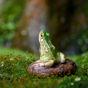 迷你仿真青蛙摆件假山水族盆景沙画造景装饰品微景观动物树脂配件