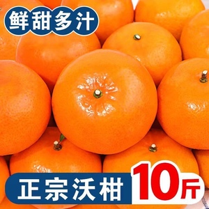 四川沃柑自家种植新鲜当季孕妇水果橘子现摘现发桔子带箱10斤包邮