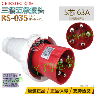 CEIRSIEC荣盛 Rs-035  RSP-035 5脚 63A  三相五极工业插头