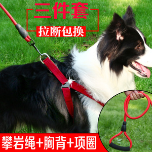 狗狗牵引绳狗链子宠物胸背中小型犬遛狗绳链项圈泰迪斗牛比熊金毛 阿里巴巴找货神器 狗狗牵引绳狗链子宠物胸背中小型犬遛狗绳链项圈泰迪斗牛比熊金毛 阿里巴巴找货神器