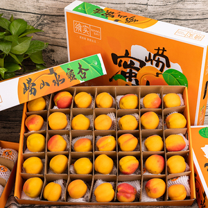 崂山蜜杏4.5斤礼盒蜜甜黄杏子老树大果当季新鲜时令水果