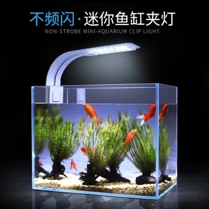 海水鱼灯 淘宝拼多多热销海水鱼灯货源拿货 阿里巴巴货源