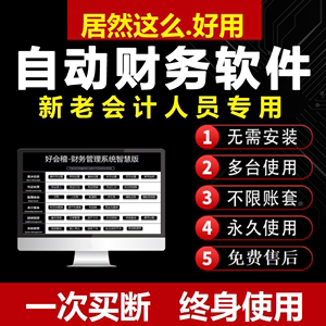 小企业会计excel单机财务软件自动网络版系统公司做账记账代理账