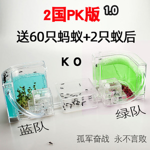 PK版蚂蚁工坊 新对战版蚂蚁城堡宠物蚁巢庄园家园王国窝送2群蚁后