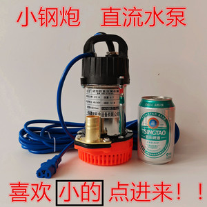 小型便携式直流潜水泵12V24V电瓶泵48V60V72V电动车泵浇菜洗车泵