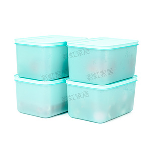 特百惠 2.5L雪影冷冻保鲜盒 大容量长方形冰箱冷藏收纳盒储藏盒