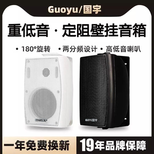 Guoyu国宇G-4K重低音定阻壁挂音箱会议室音响店铺背景音乐喇叭