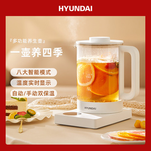 韩国HYUNDAI养生壶玻璃多功能煮茶器电热水壶 小型办公室花茶壶