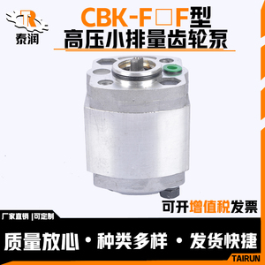 高压小排量齿轮泵CBK-F208  F210 CBK-F216动力单元油泵 升降机泵
