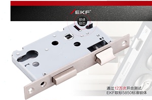 EKF伊可夫锁体不锈钢单锁舌适合多种品牌锁体5850锁芯