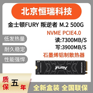 Kingston/金士顿FURY 叛逆者 500G PCIE4.0 M.2 NVME  固态硬盘