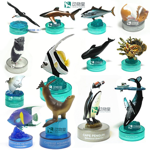 【动物堂】海洋堂生物模型乌贼海鸥鲸鱼企鹅白鳍鲨仓鼠海洋墨鱼类