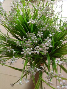 水草米兰春草花假草绿色仿真植物插花配饰配草盆景小盆栽水草米兰 阿里巴巴找货神器