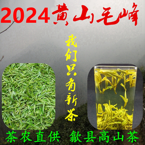 茶农直销 2024新茶叶黄山毛峰 明前特级绿茶250g 安徽歙县高山茶