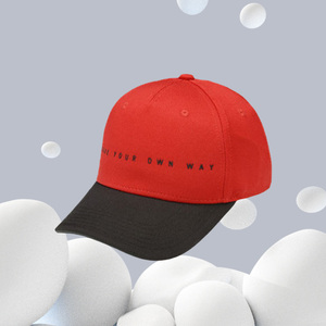 中国李宁正品运动帽19冬新款韦德系列篮球帽棒球帽鸭舌帽 AMYP354