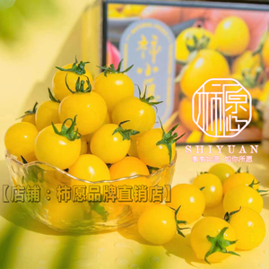 陕西柿小愿黄色樱桃小番茄柿子圣女果新鲜水果自然成熟现摘现发