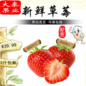 【大秦果业】甜查理奶油草莓 新鲜水果 净重3斤包邮 仅限西安同城