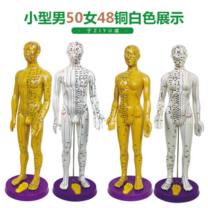 人体模型女女性 人体模型女女性品牌 价格 阿里巴巴 人体模型女女性 人体模型女女性品牌 价格 阿里巴巴