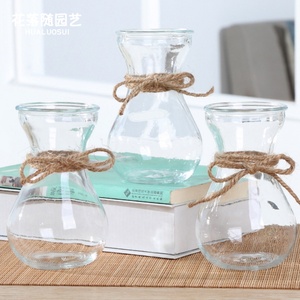 风信子玻璃花瓶透明水培绿萝植物客厅插花创意花盆器皿家用小摆件