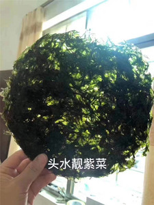 新货头水紫菜汕尾特产紫菜干货无沙煮汤鲜甜海产品250g