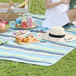 野餐垫便携儿童出游道具用品全套踏春野外户外野炊踏青地垫子防潮
