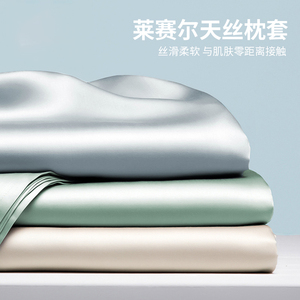200支天丝枕套一对装A类夏季冰丝枕头套单人纯色枕芯套48cm×74cm