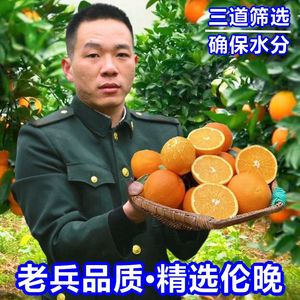 三峡老兵伦晚脐橙多汁秭归春橙湖北宜昌现摘新鲜橙子当季水果整箱