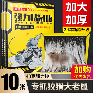 老鼠粘强力粘鼠板胶粘大老鼠贴超强家用室内黏沾捕鼠器神器扑捉