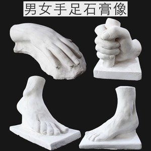 美术用品绘画室配套石膏像模型男女手脚素描静物教具艺考雕塑摆件
